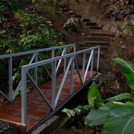 Volcano Gold Loft La Fortuna Eksteriør bilde