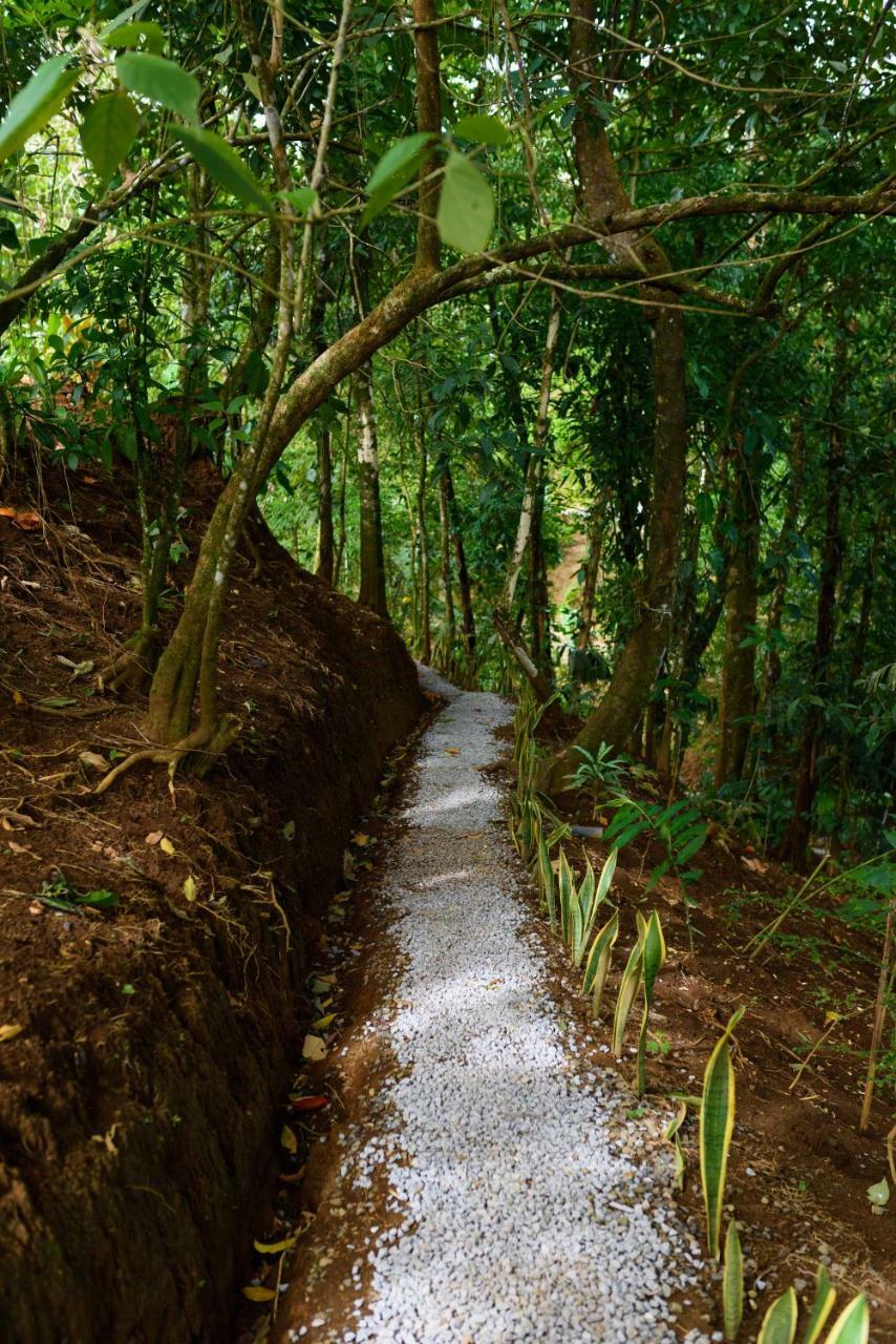 Volcano Gold Loft La Fortuna Eksteriør bilde