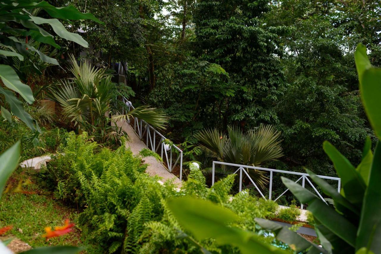 Volcano Gold Loft La Fortuna Eksteriør bilde