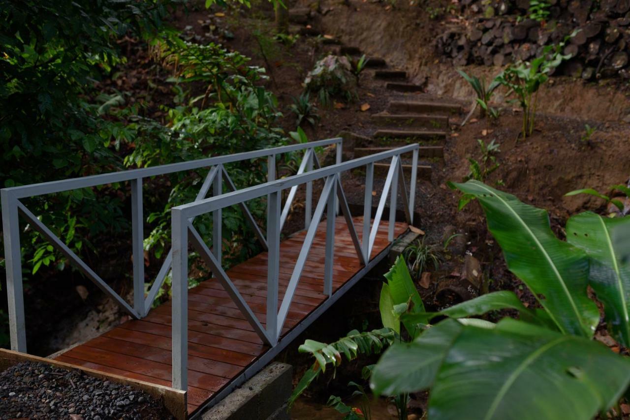 Volcano Gold Loft La Fortuna Eksteriør bilde