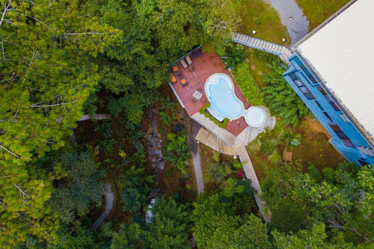 Volcano Gold Loft La Fortuna Eksteriør bilde